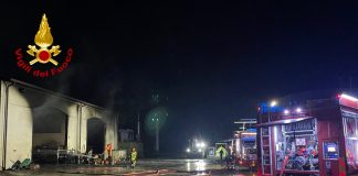 Incendi in quattro aziende agricole in pochi giorni. Indagini dei Carabinieri, si teme il dolo