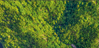 Axpo, profilo Sostenibilità si evolve con transizione energetica