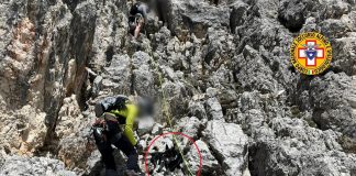 Cagnolino scala montagna e resta bloccato: salvato