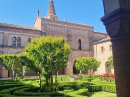 A San Benedetto Po desideri ed enigmi nella notte di San Lorenzo