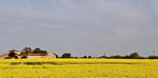 Oggi e domani a San Cataldo la Festa di Primavera