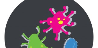 Dopo Covid record streptococco: test e tampone, istruzioni per l’uso