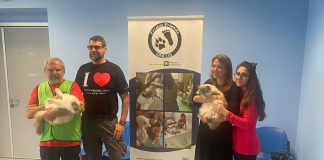 Piperno (Royal Canin Italia): “Cani e gatti migliorano il mondo per i meno fortunati”