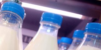 Aviaria in Usa nuovi controlli su latte e derivati, ‘no virus vivi e infettivi’