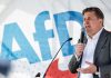 Germania, frase sulle SS: Afd vieta eventi pubblici al candidato di punta