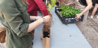 “BioOrto”da passeggio, grandi e piccini creano il loro “orto casalingo”