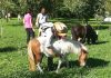 Tra degustazioni, fattorie e itinerari in bici torna Per Corti e Cascine