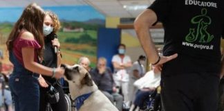 Pet Therapy e non solo: gli amici a 4 zampe diventano protagonisti nelle Rsa