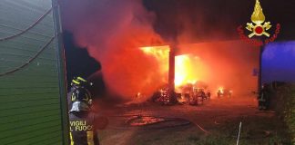 Incendio nella notte in un’azienda agricola di San Martino dall’Argine. Distrutto il fienile e un mezzo agricolo