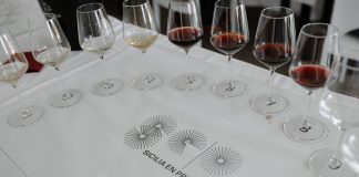 Vino, ‘Cultivating the future’: Assovini Sicilia ‘faro’ nel rinascimento enologico