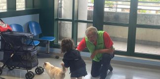 Al Niguarda e Fatebenefratelli Milano Cat Therapy per mille bambini