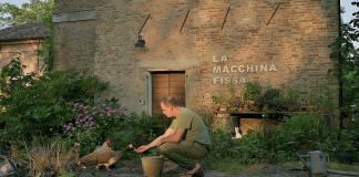 Il 21 giugno a Corte Maddalena primo appuntamento con “Corte Distanze”