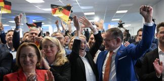 Europee, in Germania partito estrema destra Afd secondo più votato: exit poll
