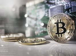 Maxi truffa sulle criptovalute arriva anche nel Mantovano: sequestrati oltre 877 mila euro