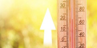 Caldo, riparte numero verde 1500, quest’anno esteso a lavoratori e imprese