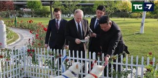 Due cani per Putin, Kim regala una coppia di Pungsan al leader russo
