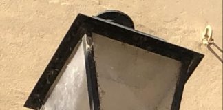 Colombo rimane intrappolato in un lampione. Intervengono i Vigili del Fuoco