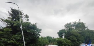 Ubriaco alla guida esce di strada sul cavalcavia: patente sospesa