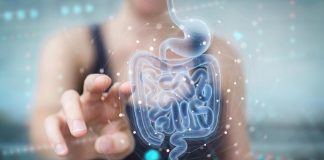 Microbiota intestinale in salute difende meglio dalle infezioni gravi