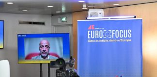 Europee: Nalli (Suzuki Italia), ‘2035 vissuto quale imposizione, decisione politica’