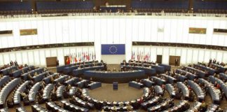Europee Olanda, maggioranza dei seggi alla destra: Id e Renew ne conquistano 7 ciascuno