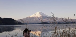Fotografia naturalistica: guida per Iniziare ad esplorare la natura attraverso l’obiettivo