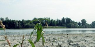 Giornata mondiale Ambiente, 28% Italia a rischio desertificazione: l’allarme