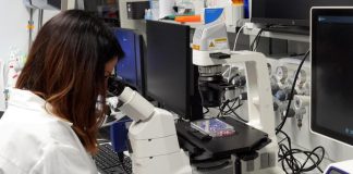 Scoperto Mytho, il nuovo gene anti-età