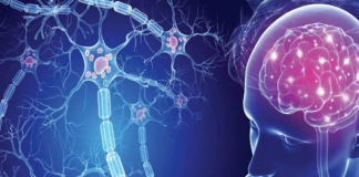 Depressione e sclerosi multipla, studio pilota su protocollo Emdr DeprEND