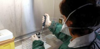 Alimenti, 40% malattie da cibo contaminato colpisce bambini under 5