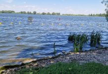 Balneazione 2026 sul Lago Superiore: regole, limiti e aree consentite