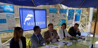 Rifiuti, al via campagna ‘Piccoli gesti, grandi crimini’, focus sui ‘micro Raee’