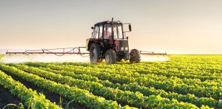 Pac, Confagricoltura: “Nel 2023 contributi dimezzati, apprezziamo cambio rotta dell’UE”