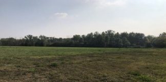 Dopo il no al Polo Logistico, i comitati chiedono: “Diventi area di tutela ambientale”