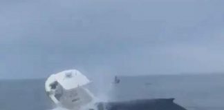 Balena attacca barca di pescatori, due volano in mare – Video