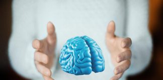 Giornata mondiale del cervello, ‘vita sana e socialità per proteggerlo’