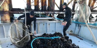 Eni, sinergia con il territorio uno dei segreti dell’azienda