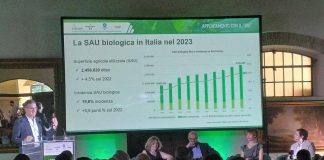 Ismea, coltivati a biologico soprattutto seminativi con 42%