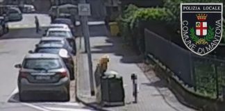 Furbetti dei rifiuti: 49 multe da inizio anno. L’ultima ad una 40enne in Valletta Valsecchi