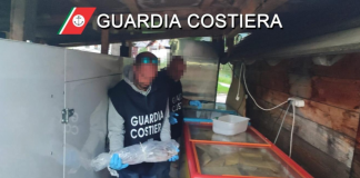 Cortina, pesce scaduto nei ristoranti dei vip: sequestro da 1,4 tonnellate