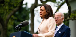 Vance contro Kamala Harris e le donne americane senza figli: “Gattare”