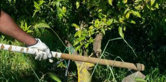 Caporalato, scoperti 33 lavoratori ridotti in schiavitù in provincia di Verona