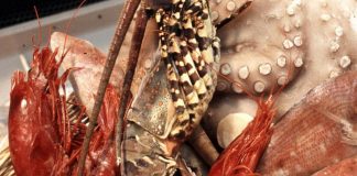 Morta dopo una cena a base di pesce, domani l’autopsia sulla 40enne