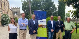 Castellaro Lagusello dice addio all’isolamento digitale e telefonico con la rete di wi-fi pubblico di Mynet