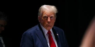 Guerra Ucraina-Russia e Nato, il piano di Trump