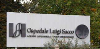 Morbo della mucca pazza: muore 50enne di Mantova