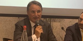 Squeri (FI): “Lontani dall’elettrico, c’è bisogno di altro”