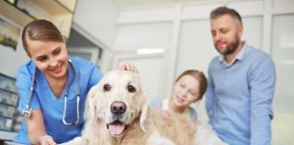Università, a Roma Tor Vergata il nuovo corso di laurea in Medicina veterinaria