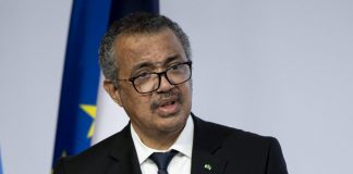 Vaiolo delle scimmie, Oms dichiara emergenza sanitaria internazionale