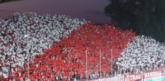 La coreografia, le nuove luci, l’ovazione per Lori… 5 cose di Mantova-Cosenza che non dimenticheremo